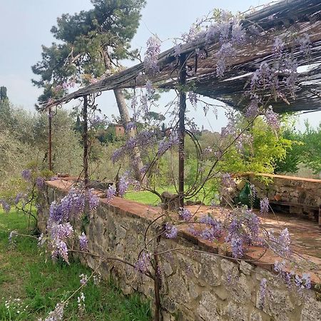 Casa Ezio Marchi - Due Appartamenti E Una Family Suite Bettolle Dış mekan fotoğraf