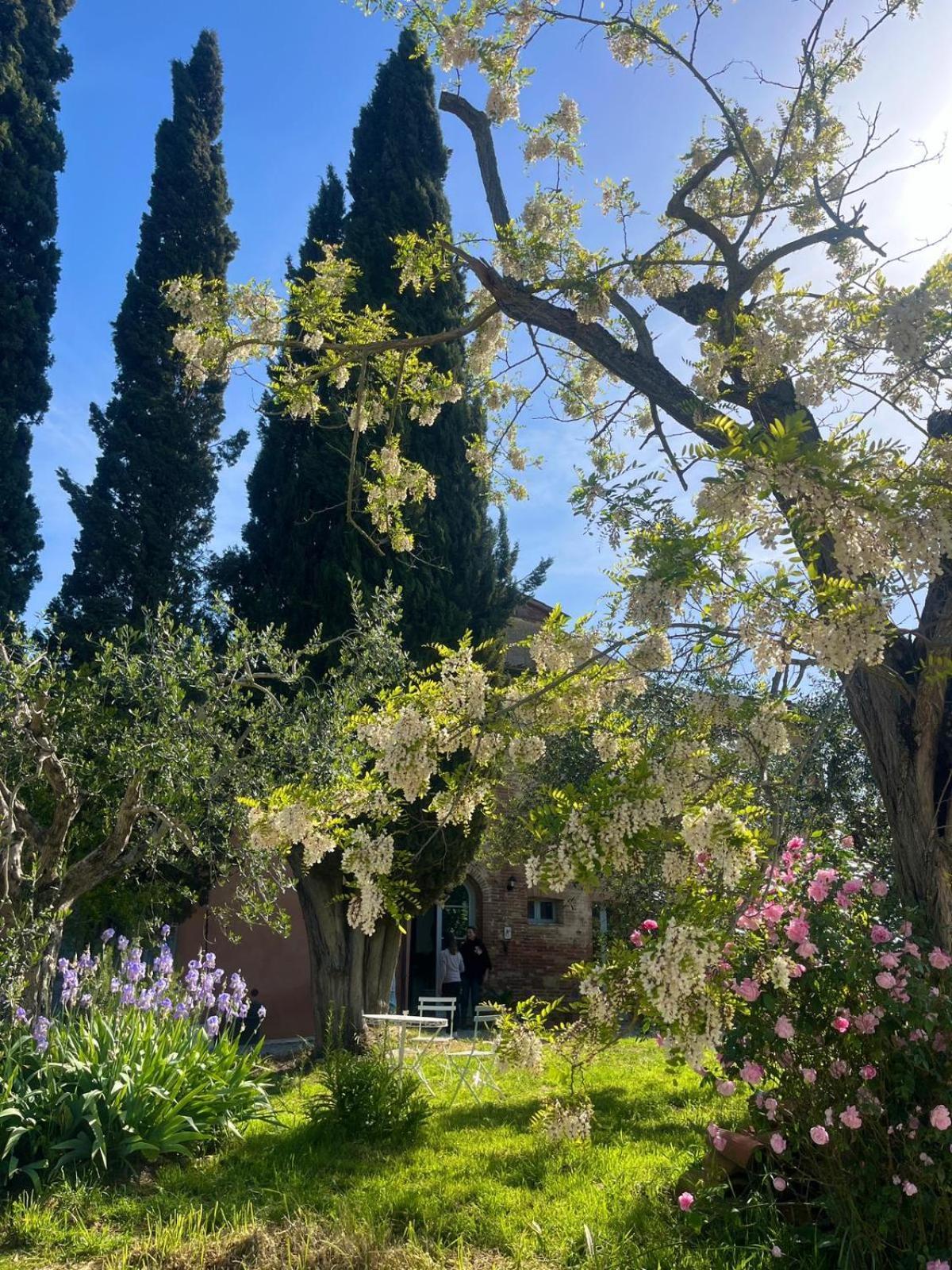 Casa Ezio Marchi - Due Appartamenti E Una Family Suite Bettolle Dış mekan fotoğraf