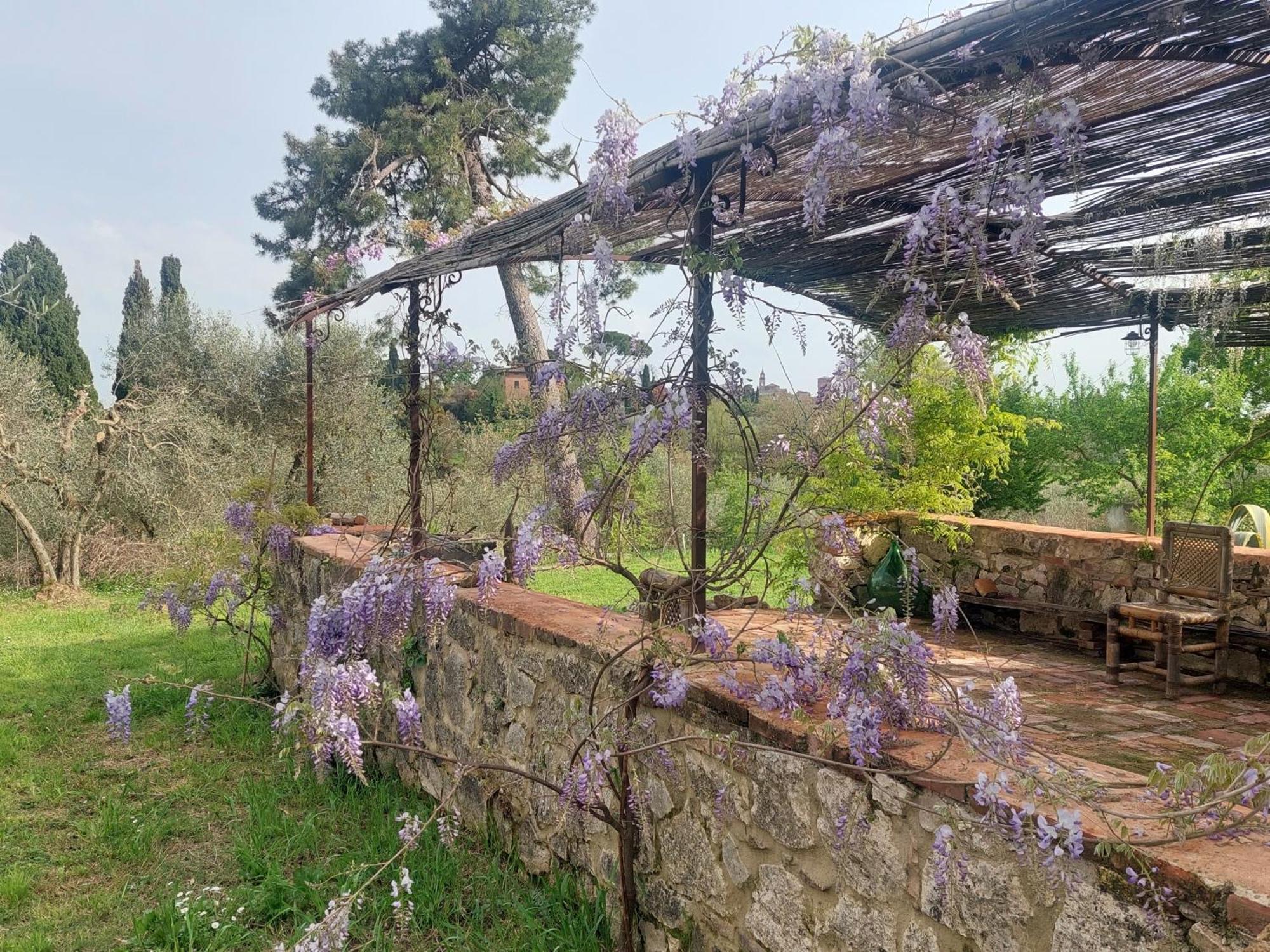 Casa Ezio Marchi - Due Appartamenti E Una Family Suite Bettolle Dış mekan fotoğraf