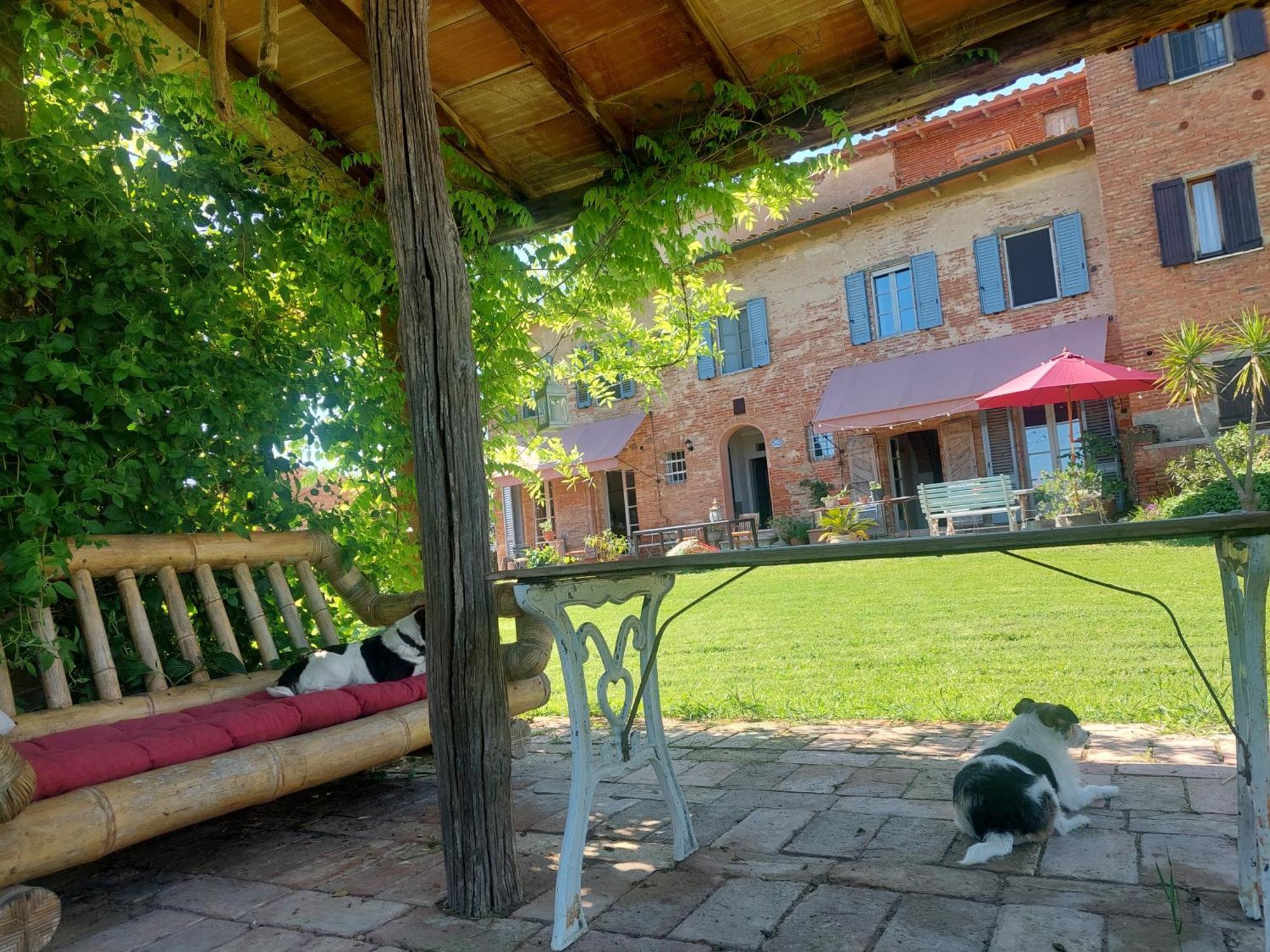Casa Ezio Marchi - Due Appartamenti E Una Family Suite Bettolle Dış mekan fotoğraf