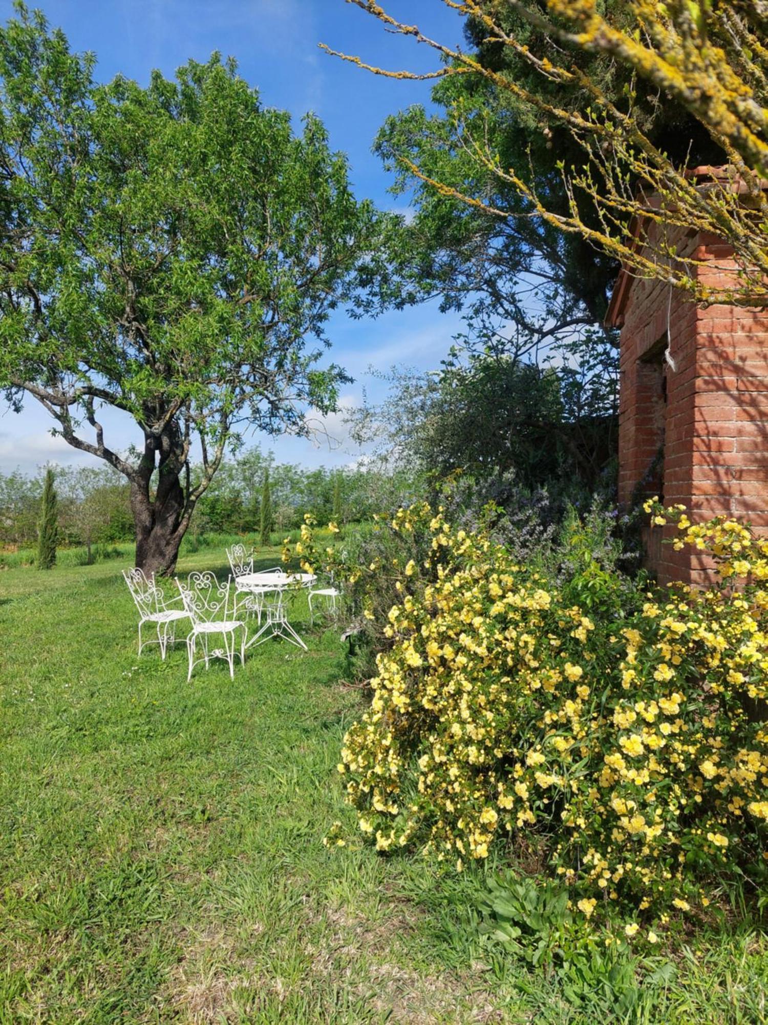 Casa Ezio Marchi - Due Appartamenti E Una Family Suite Bettolle Dış mekan fotoğraf