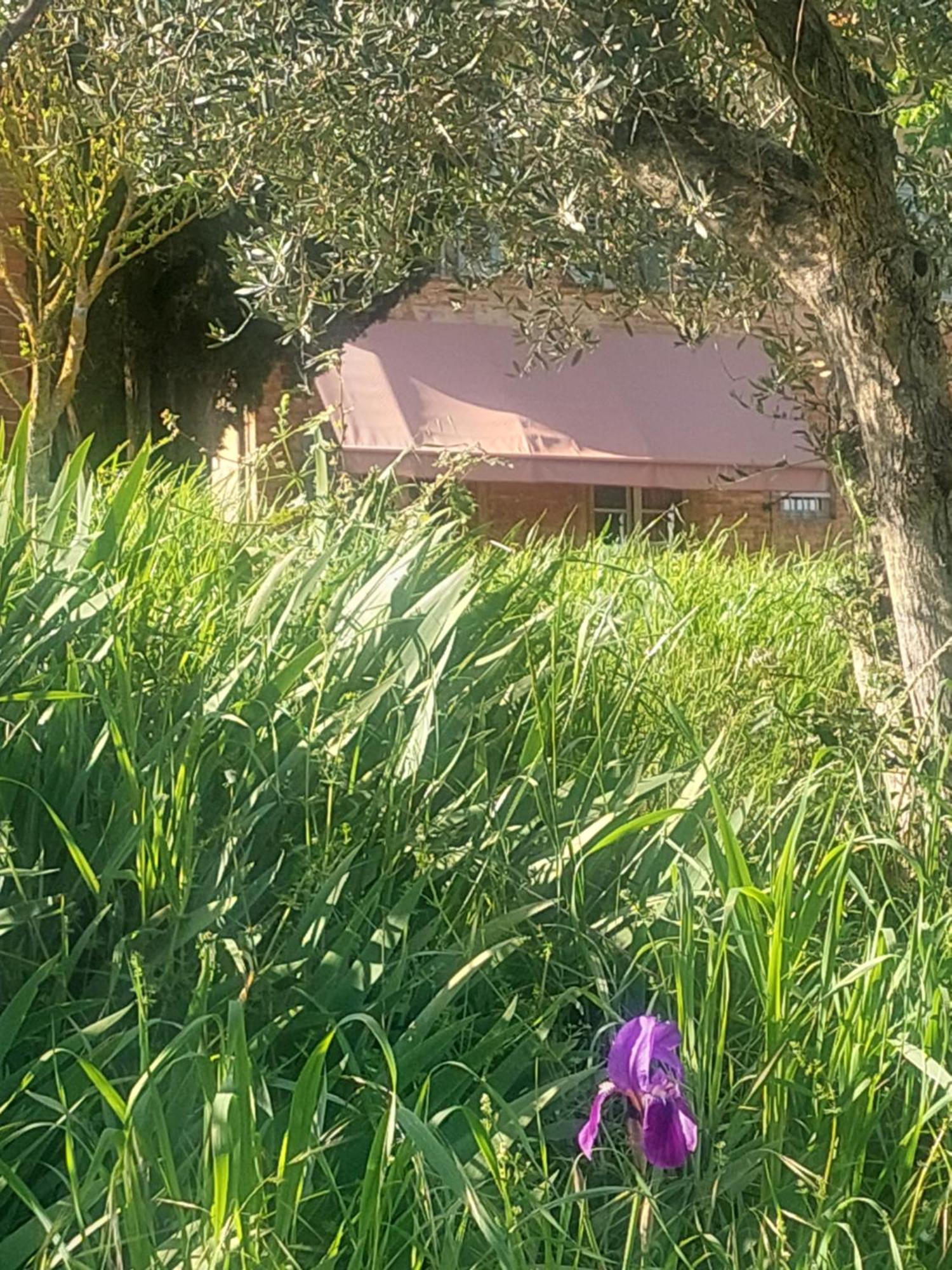 Casa Ezio Marchi - Due Appartamenti E Una Family Suite Bettolle Dış mekan fotoğraf