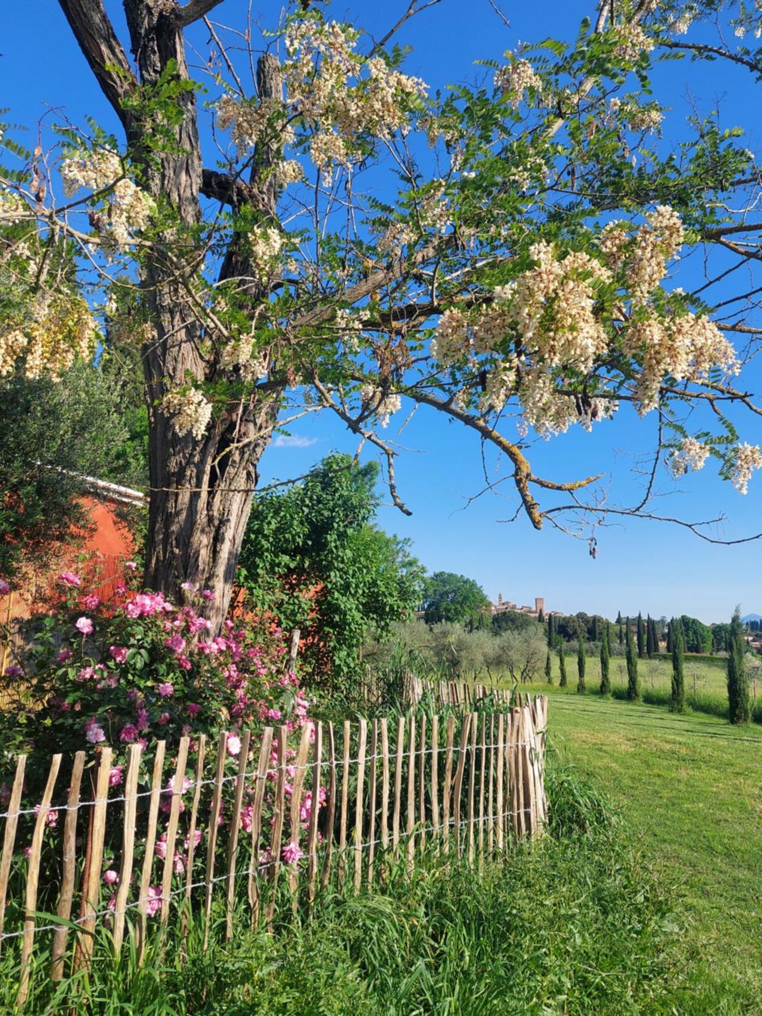 Casa Ezio Marchi - Due Appartamenti E Una Family Suite Bettolle Dış mekan fotoğraf